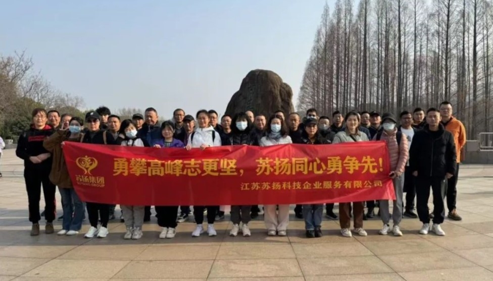 苏扬团队勇攀紫金山，在春天的怀抱里谱写团结奋进“狂飙曲”